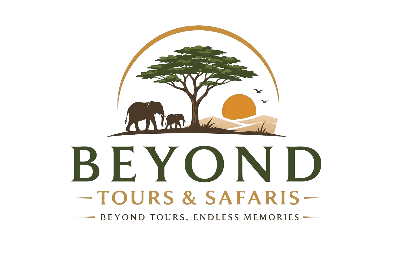 Beyond Travels & Safaris