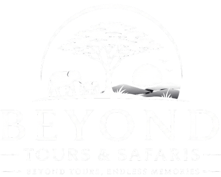 Beyond Travels & Safaris