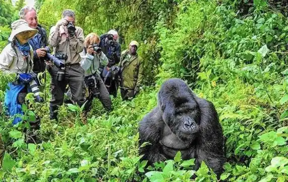 UGANDA