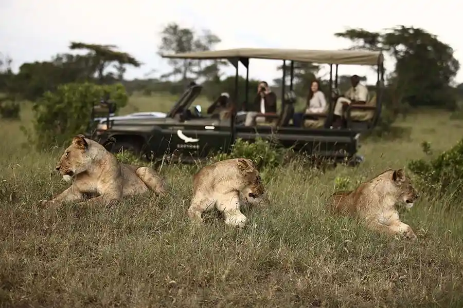 TANZANIA PRIVATE SAFARI